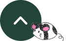 先頭へ戻る